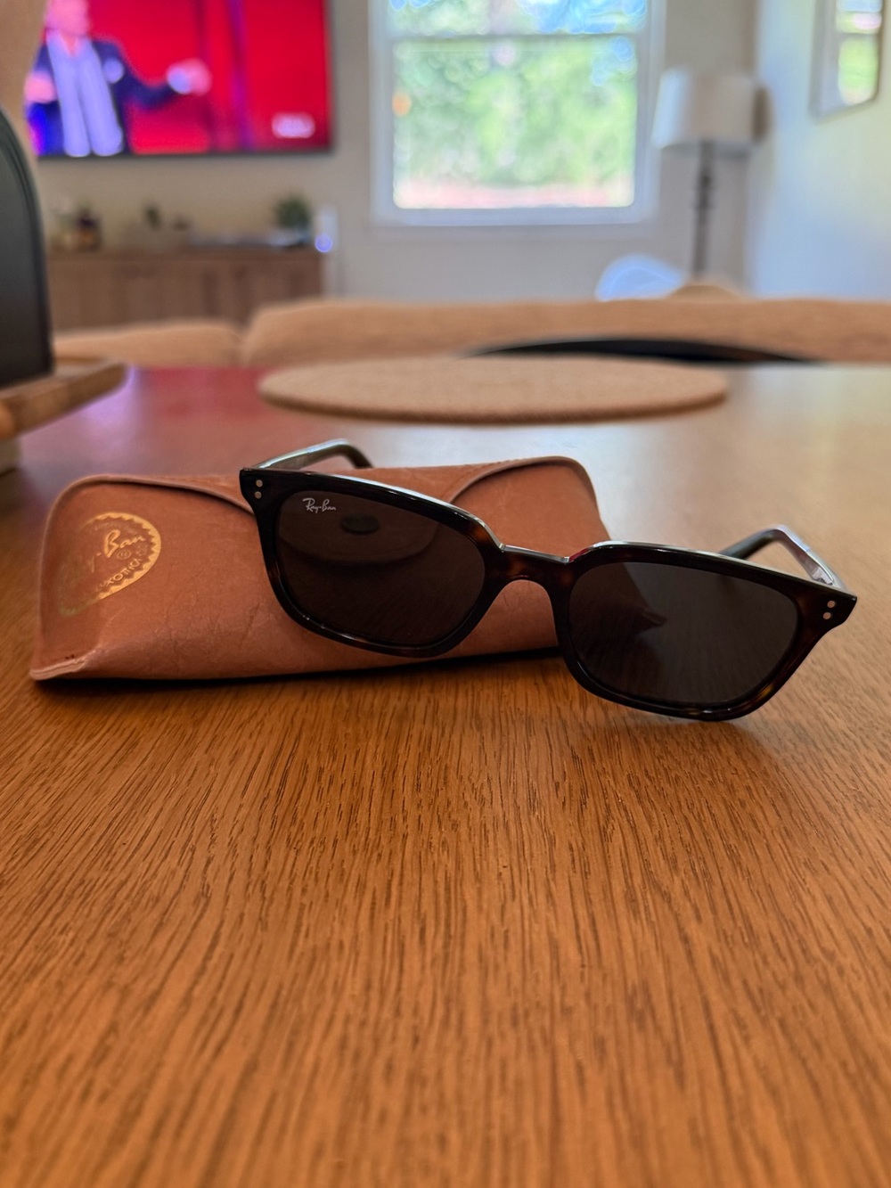 Ray-Ban Zaya Bio-Based Sunglasses (Polished Havana Frame with Dark Grey Lenses)